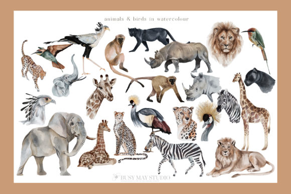 animal stickers
